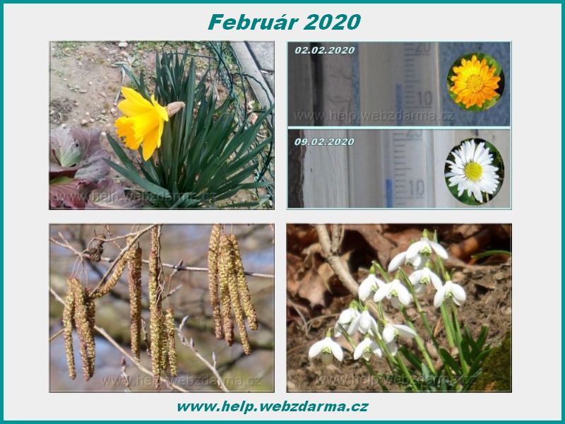 Februar 2020